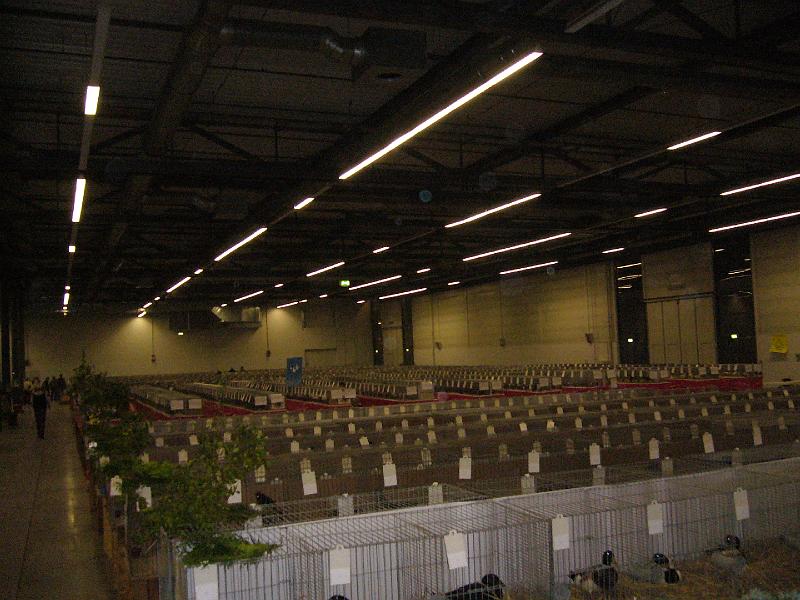 Munster 2009 Donnerstag 004.jpg